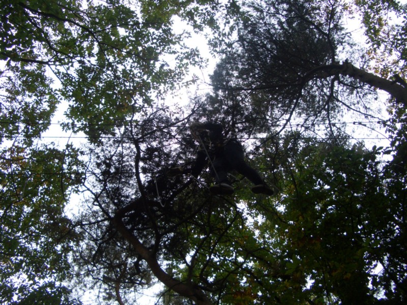 CIMG0111.JPG